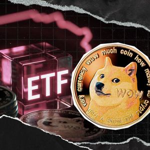 $0 in Dogecoin ETF Daily Net Inflow: Cause for Concern?