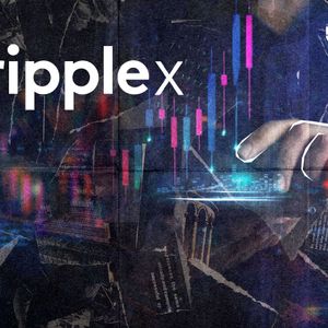 RippleX Head of Engineering Details How AI Will Help Strengthen XRP Ledger Security From Now On
