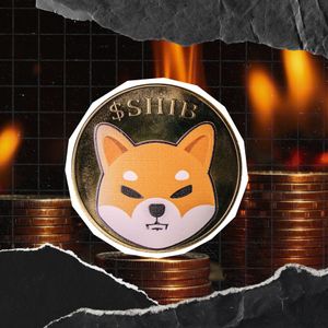 SHIB Burns Stuck At Zero for Second Consecutive Day Amid Surging Crypto Market