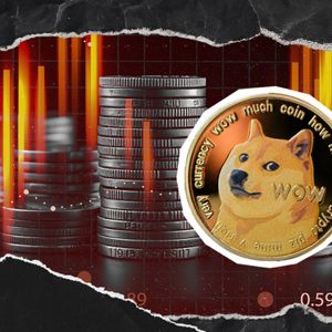 Dogecoin (DOGE) Lost 50% Of Its Volume: Will It Actually Affect the Price?