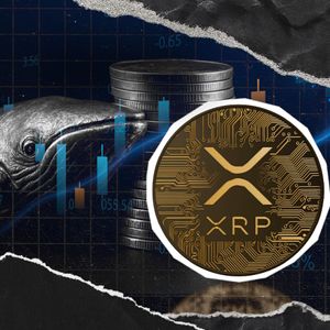 XRP Whales Add Over 4.18 Billion XRP Since October Price Flash Crash