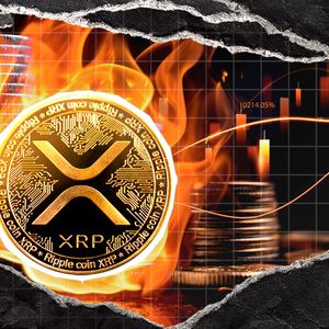 XRP Notes 27% Surge in Daily Burn Activity as Onchain Metrics Turn Promising
