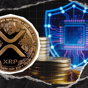 "Privacy Is Coming for XRP": Top Contributor Confirms