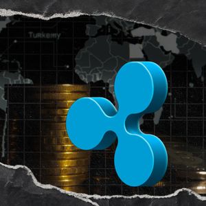 Ripple Director Names Turkey, Nigeria, and UAE as "Must-Watch" Markets