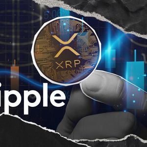 Ripple Head Engineer Alerts Node Operators on Important XRP Update