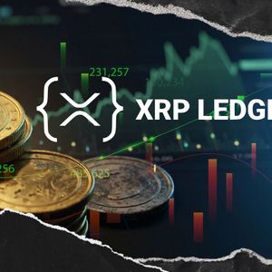 XRPL Payment Volume Surges 15% Despite Sharp Price Reversal