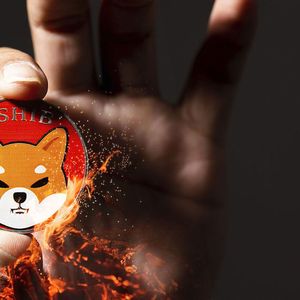 Shiba Inu (SHIB) Burning Extremely Different Since December: Details