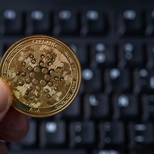 Cardano (ADA) Recovery is More Than Possible Now: 150% Volume Increase