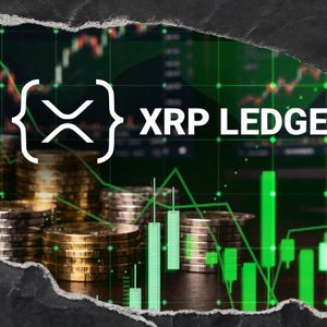 XRP Ledger (XRPL) Breaks 13-Year Milestone in Non-Empty Wallets as Adoption Peaks