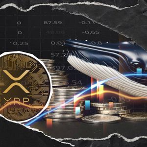 XRP Supply Shift: Whales Add 200 Million Tokens as Price Eyes $1.5