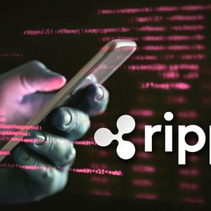 Ripple Scam Alert: There Is No XRP Staking Program