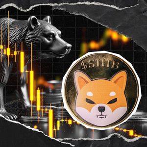 Shiba Inu Bears Activate as Netflow Tops 350 Billion SHIB