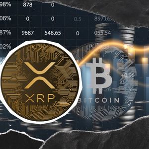 XRP Defies Bitcoin’s Gravity: Rare Strength Tested as -63% Drawdown Scenario Prevails