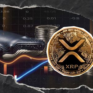 190 Million XRP Purchased by Whales in Past Week Amid Price Fall