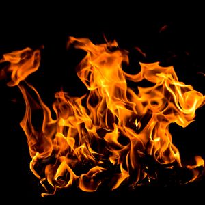 Ripple Burns Nearly 180 Million RLUSD in Mere Hours