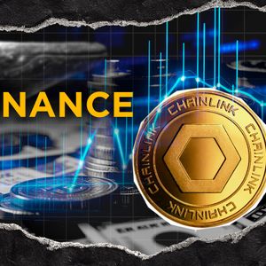 Chainlink Activity Surges, 8,000 LINK Exits Binance Among Largest Daily Trades