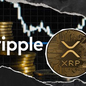Ripple’s Latest XRP Bag Smashes Last Year’s Average: 5 Billion XRP Now In Spendable Wallets