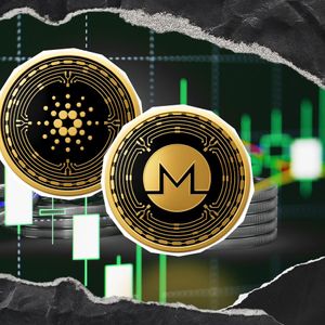 Cardano and Monero (XMR) in Tussle for Crypto Ranking, Who Gets Ahead?