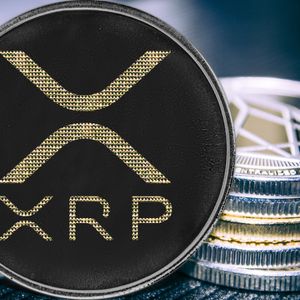 XRP's Strong ETF Performance Goes Against the Price: 40% Decline, $41 Million