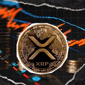 XRP Supply In Profit Drops To Lowest Level Since July 2024