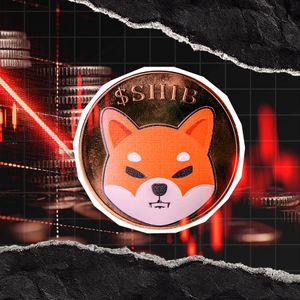 -228 Billion SHIB: Shiba Inu Coin Supply on Exchange Continues to Squeeze