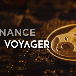 SHIB Worth Tens of Million of Dollars Found In Voyager’s Accounts Purchased by Binance.US