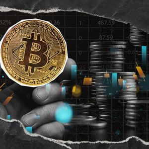 1-in-100,000 Chance: Solo Bitcoin Miner Defies 300-Year Odds to Solve Block 313