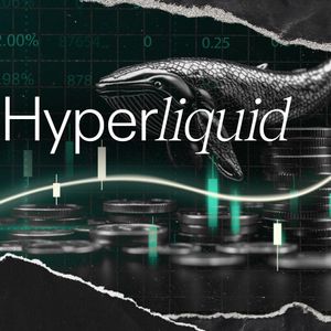 Hyperliquid (HYPE) Is Not Over: Spike in Whales Activity Spotted