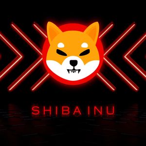 24小时内，一只 （）的价格从-260亿美元飙升至180亿美元。