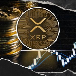 XRP Payments Fall 77% as Price Eyes End to Rally