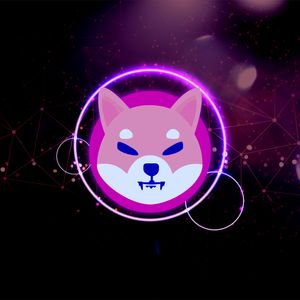 9/10 Shiba Inu (SHIB) Indicators Are in Green, but There's a Catch