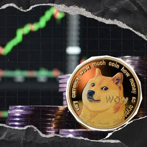 Dogecoin Transaction Volume Near $800 Million as Price Rally Fuels Dramatic Surge