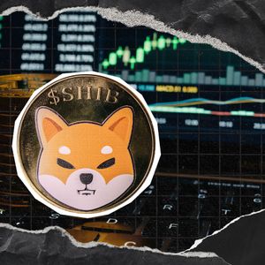 Shiba Inu Outpaces Bitcoin and XRP as OI Jumps 20%