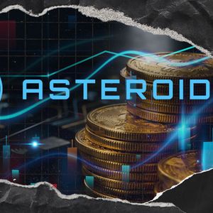 Does Asteroid Shiba Actually Hold a Future?