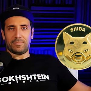 SHIB Better Make Comeback During Next Bull Run: David Gokhshtein