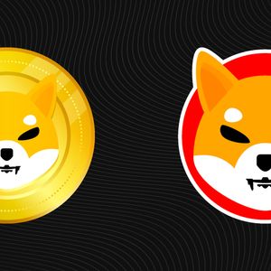 56% Memecoin Trading Volume Rally, but Shiba Inu (SHIB) Sleeping With 0 Netflow