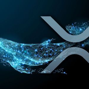 Large XRP Holders Accumulate So Much XRP That They Set Records