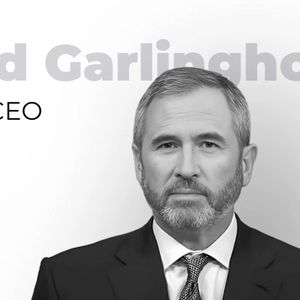 Ripple CEO Shares Stunning XRP Selfie