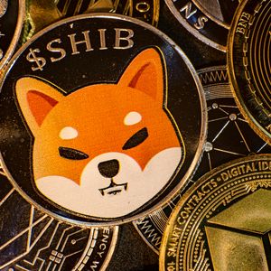 429 Billion Shiba Inu (SHIB) in 24 Hours: Volumes Flip Substantially