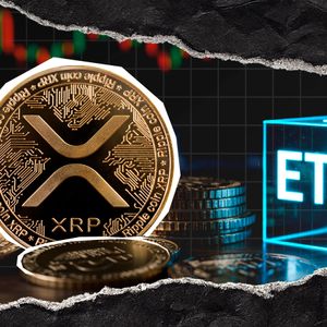 XRP ETFs See Highest Inflow in Two Weeks as Institutional Demand Grows