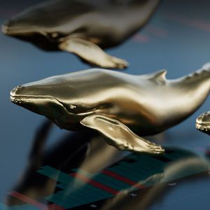 Here's One Coin Which Whales Loves Most, And It Will Surprise You