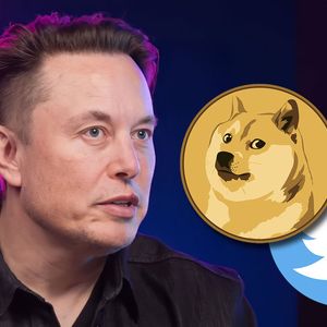 Elon Musk Says He May Talk to Doge Army Via Twitter Live Within Next 3 Days