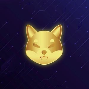 Shiba Inu (SHIB) Records 33.77% Exchange Withdrawal Spike: Accumulation Trend Emerges