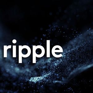 $600 Billion Investment Management Firm Backs Ripple Prime Secures Financing