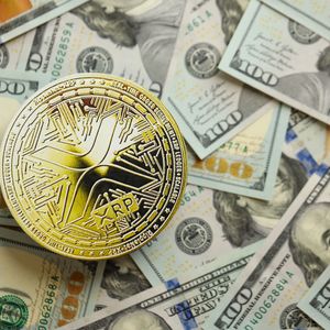 'XRP by Far': How Ripple's David Schwartz Makes His Biggest Profit Despite Selling Too Early