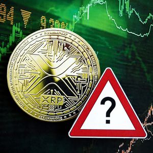 'Stay Safe XRP Fam': Ripple CTO Emeritus Issues Urgent Scam Alert Warning XRPL Users