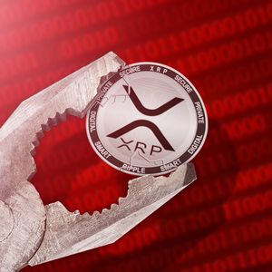 Almost 3,000 New XRP Ledger Users per Day: Can It Turn Around Trend?