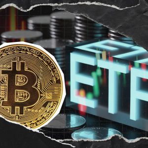 Spot Bitcoin ETFs See Huge Cash Inflows