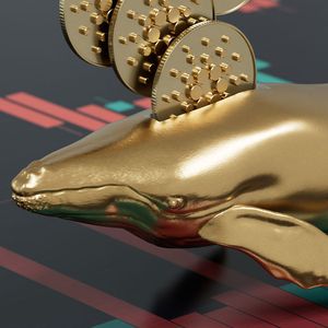 Cardano Whales Added 331 Million Additional ADA After Collapse of FTX