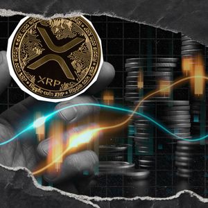 $100,318,353 XRP Transfer Between Unknown Wallets Draws Market Attention